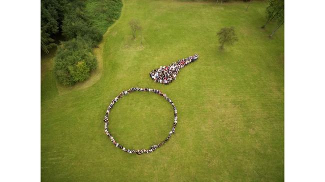 Bocian Finanse i PejKarta – jak działa oferta finansowania w Polsce?